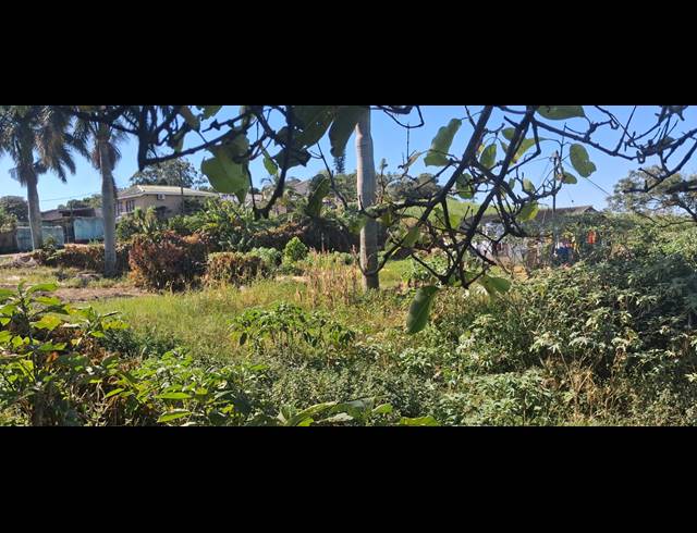 FARM FOR SALE IN HIGH RIDGE